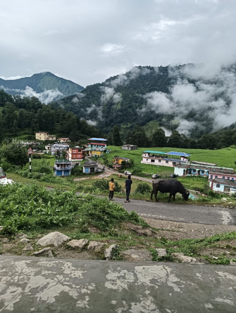 Himalayan Valley View